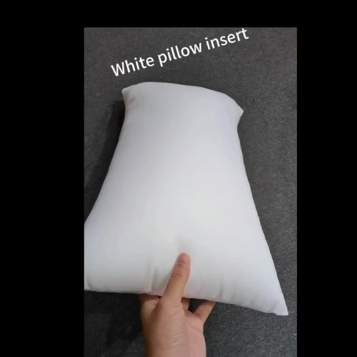 2pcs White Pillow Insert 2pcs Soft Fluffy White Throw Pillow Insert