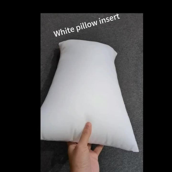 2pcs White Pillow Insert 2pcs Soft Fluffy White Throw Pillow Insert